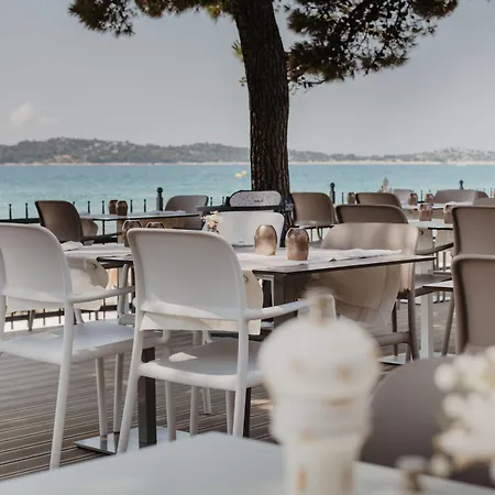 ホテル Arausana & Antonina ヴォディツェ